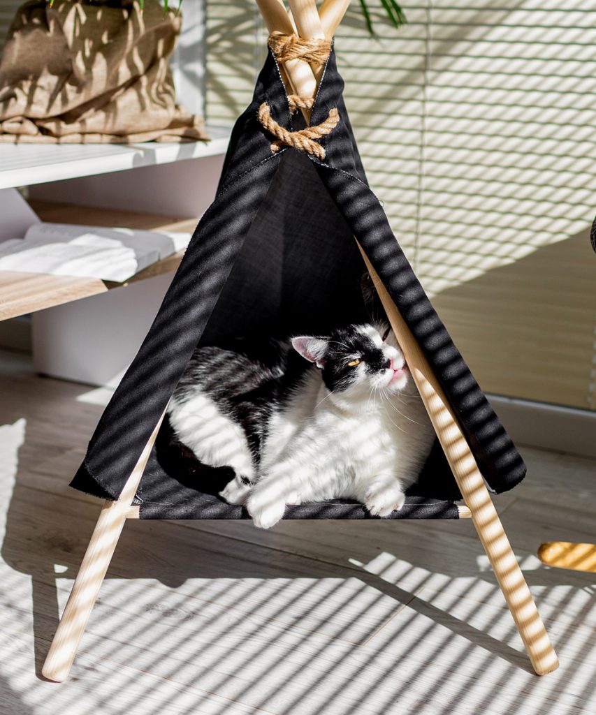 namiot tipi dla kota