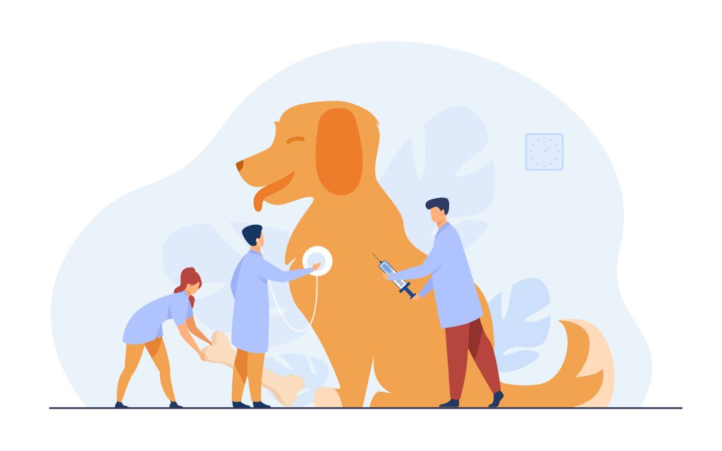 obraz/rysunek ps, którym opiekują się weterynarze- sklep wterynaryjny