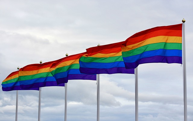 homoseksualna propaganda - stop przeciw lgbt