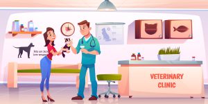 obrazek ilustrowany kliniki weterynaryjnej - sklep weterynaryjny online